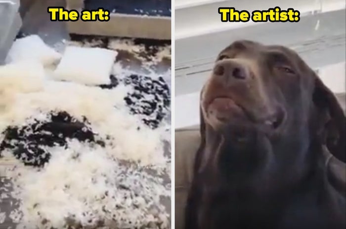 Gauche : Coussin déchiré avec de la bourre partout. Droite : Chien assis avec une expression coupable. Le texte dit &quot;L'œuvre : L'artiste :&quot;